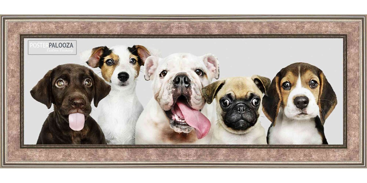 Panoramic Slim Profile Silver Frame - UV Acrylic, Foam Board Backing, Hanging Hardware